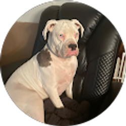 Profile photo of Tiffany Hermann