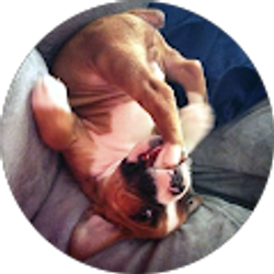 Profile photo of D Jay Baciles