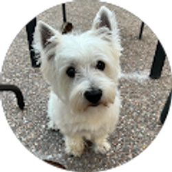 Profile photo of Gang Xu