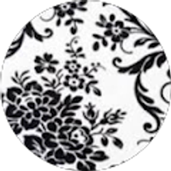 Profile photo of Sandra Oliveros