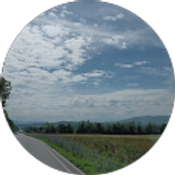 Profile photo of Constance Beliveau