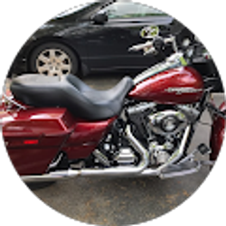 Profile photo of Paul Stefano