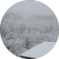 Profile photo of Amir Ajdari