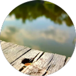 Profile photo of Kevin Merz