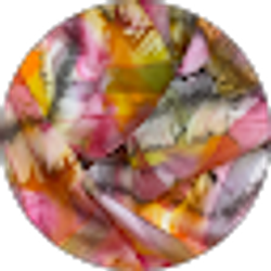 Profile photo of Cynthia Cavalieri