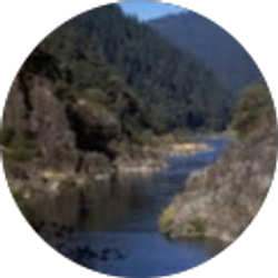 Profile photo of Susanna Wood