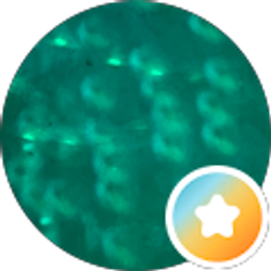 Profile photo of Seth