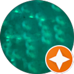 Profile photo of Seth