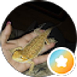 Profile photo of Littlelady36