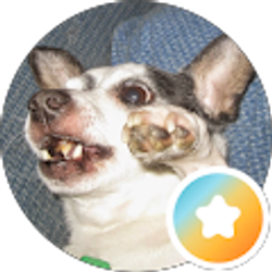 Profile photo of Amanda Striker