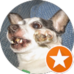 Profile photo of Amanda Striker