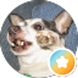 Profile photo of Amanda Striker