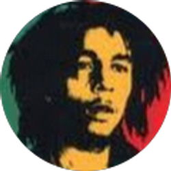 Profile photo of Nikhil Bhayani