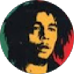 Profile photo of Nikhil Bhayani