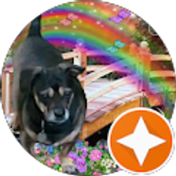 Profile photo of Charlotte Hendricks