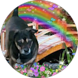 Profile photo of Charlotte Hendricks