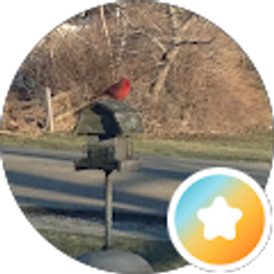 Profile photo of Rebecca Stein