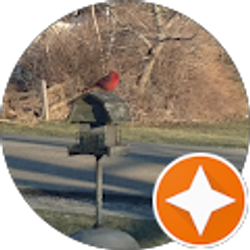 Profile photo of Rebecca Stein