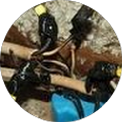 Profile photo of Nate Sevcik