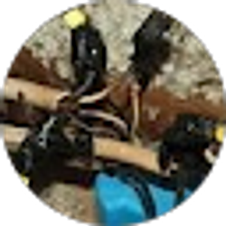 Profile photo of Nate Sevcik