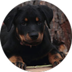 Profile photo of ONISCUS ONE