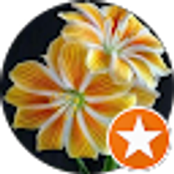 Profile photo of Janet Bennett