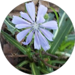 Profile photo of Janett Kipp