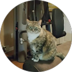 Profile photo of Raymond P.