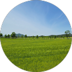 Profile photo of Yoojin Kim