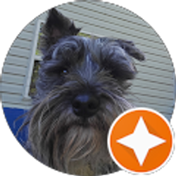 Profile photo of Lance Robinson