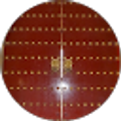 Profile photo of ri C