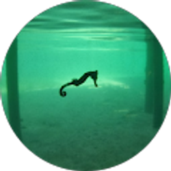 Profile photo of Marc Mistersaro