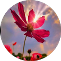 Profile photo of Beatris Calderon G.