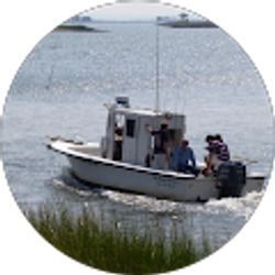 Profile photo of SAL TARDELLA