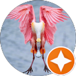 Profile photo of Becky Boston