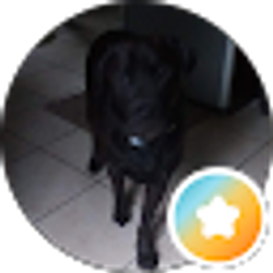 Profile photo of Amy Jones