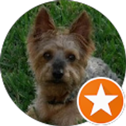 Profile photo of Richard Gendron