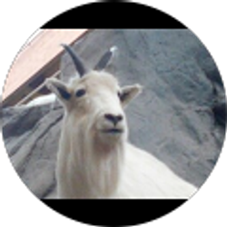 Profile photo of Tammy Jett