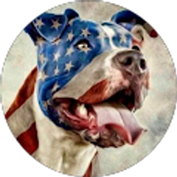 Profile photo of Phil Severt