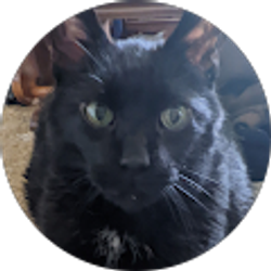 Profile photo of Anthony See