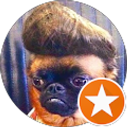 Profile photo of Mark Couch