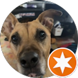 Profile photo of John Corney