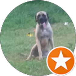 Profile photo of Tabitha Sims