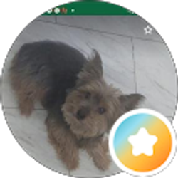 Profile photo of JK H