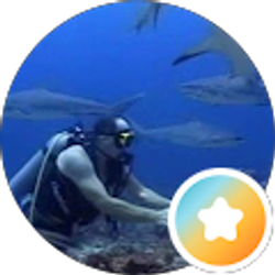 Profile photo of Bill Chambers