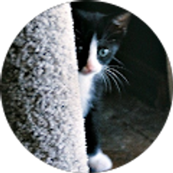 Profile photo of MaryEileen Rufkahr