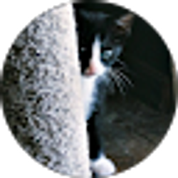 Profile photo of MaryEileen Rufkahr