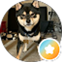 Profile photo of JoJo