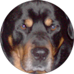 Profile photo of dee lynn