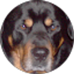 Profile photo of dee lynn